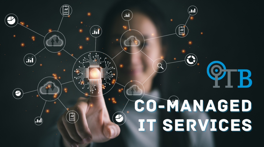 co-managed it services